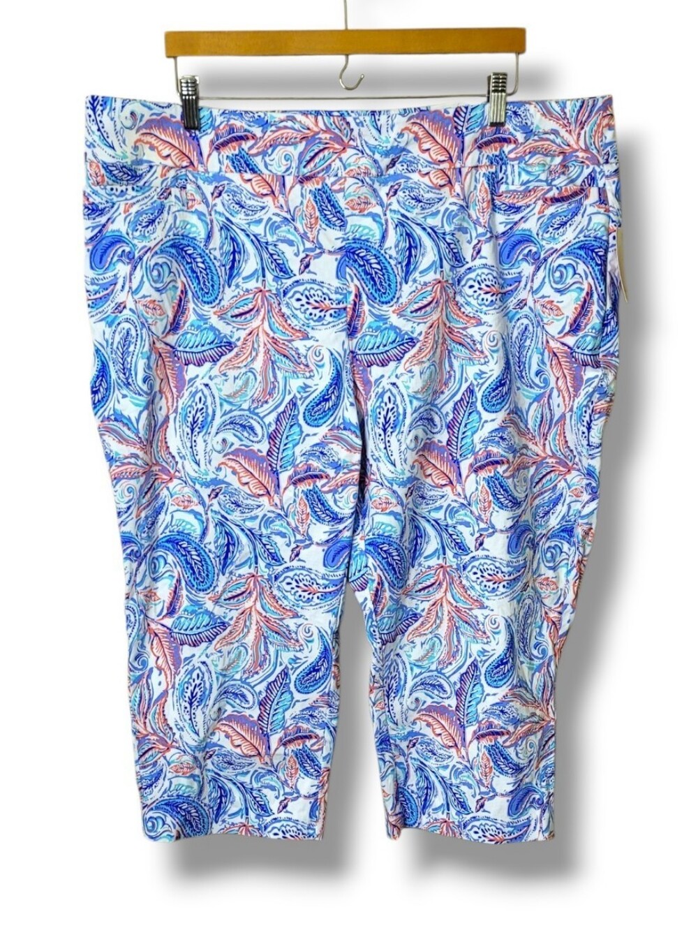 Kim Rogers Millennium Capris • Size 22W Painterly Paisley NWT